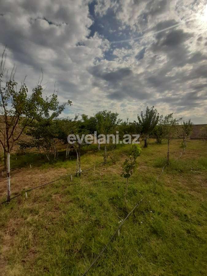 Satılır, torpaq, 12 sot, Bakı, Abşeron r, Görədil q.