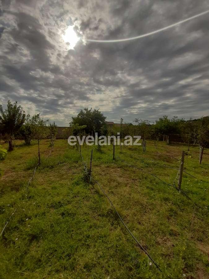 Satılır, torpaq, 12 sot, Bakı, Abşeron r, Görədil q.
