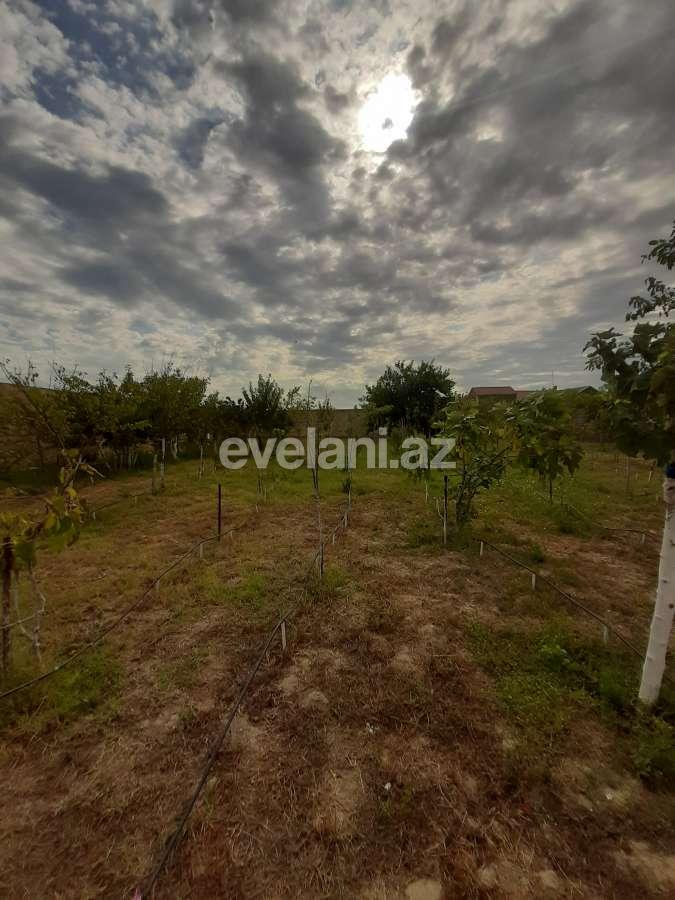 Satılır, torpaq, 12 sot, Bakı, Abşeron r, Görədil q.