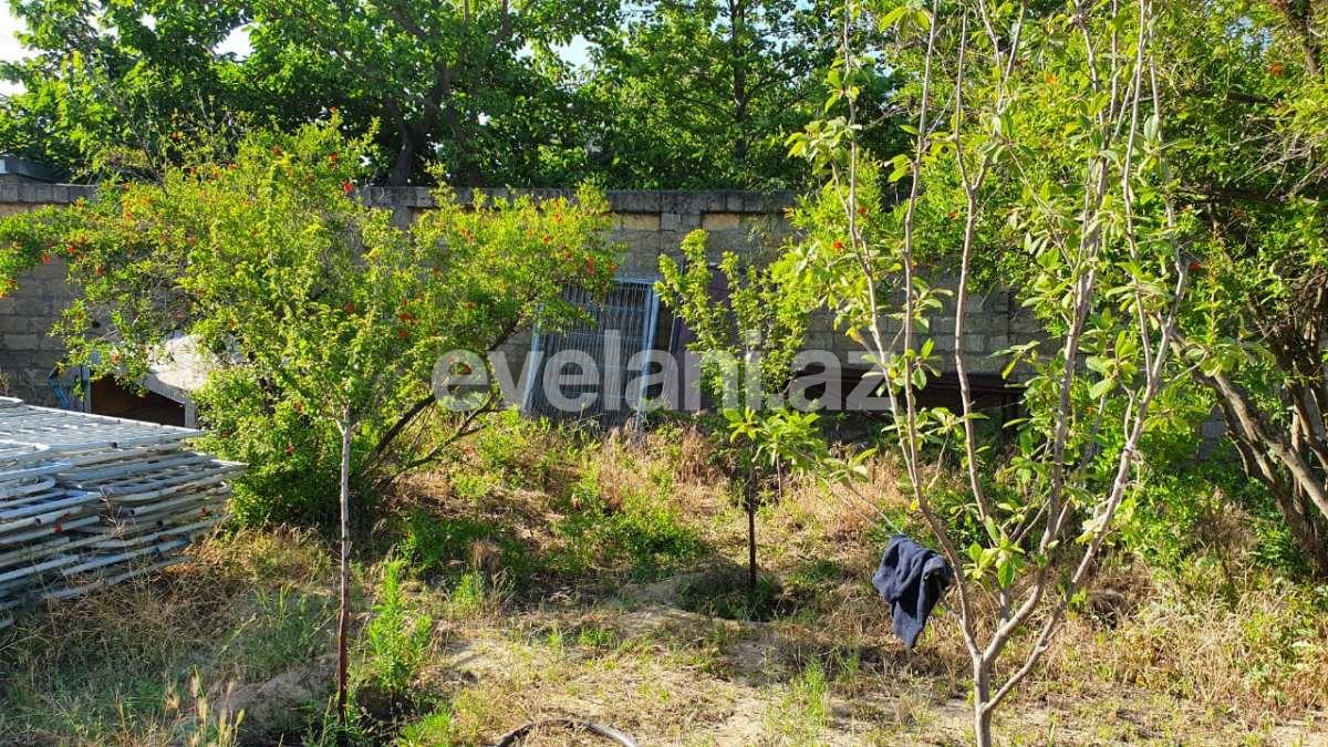 Продаётся, участок, 12 сот, Баку, Абшеронcкий r, Горадил p.