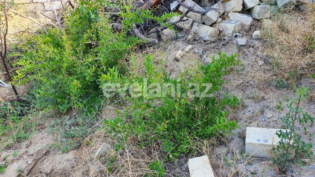 Продаётся, участок, 12 сот, Баку, Абшеронcкий r, Горадил p.