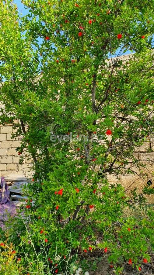 Продаётся, участок, 12 сот, Баку, Абшеронcкий r, Горадил p.