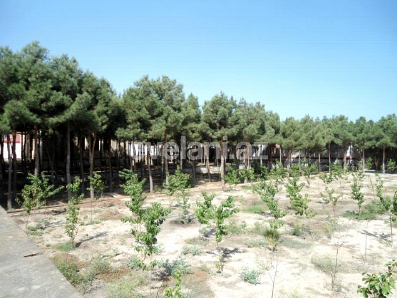 Sale, garden / house, 3 room, 250 m², Baku, Khazar r.