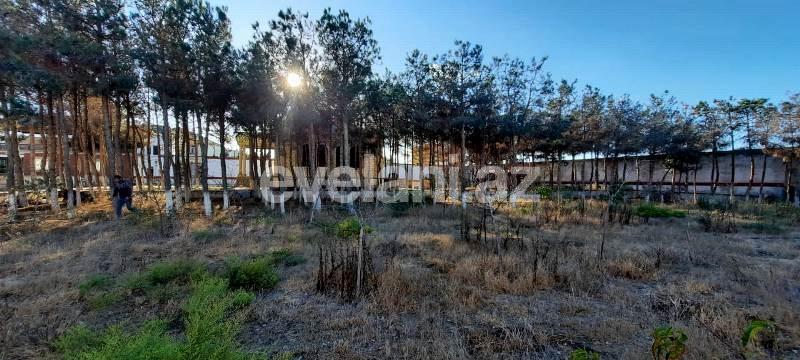 Sale, garden / house, 3 room, 250 m², Baku, Khazar r.