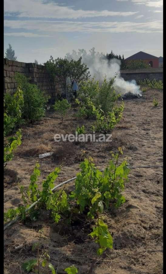 Satılır, torpaq, 12 sot, Bakı, Abşeron r, Görədil q.