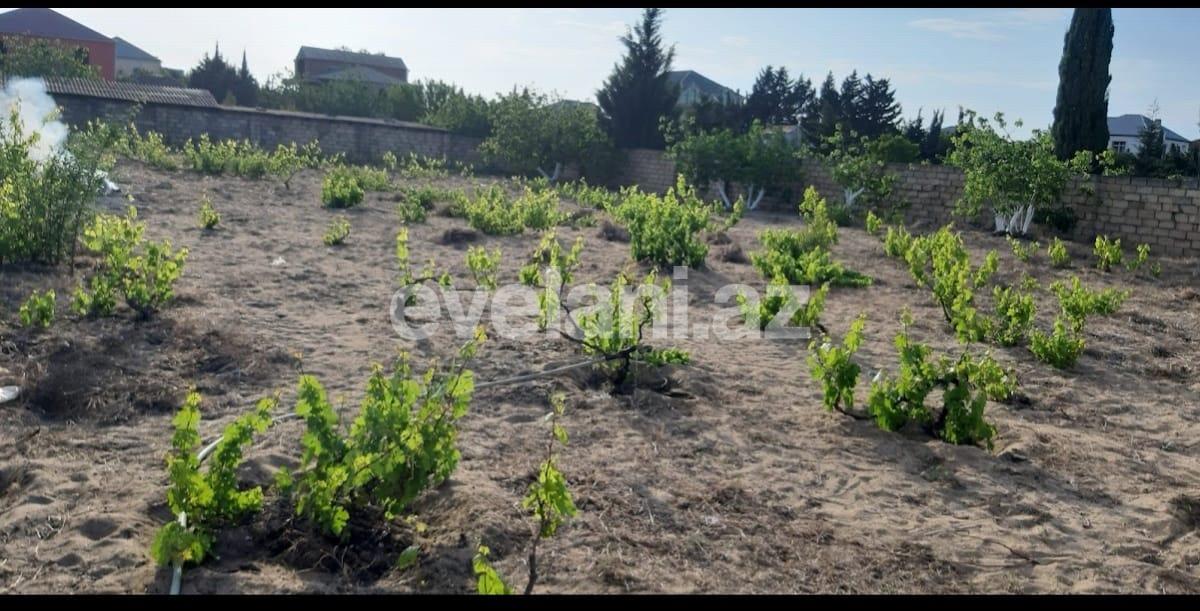 Satılır, torpaq, 12 sot, Bakı, Abşeron r, Görədil q.