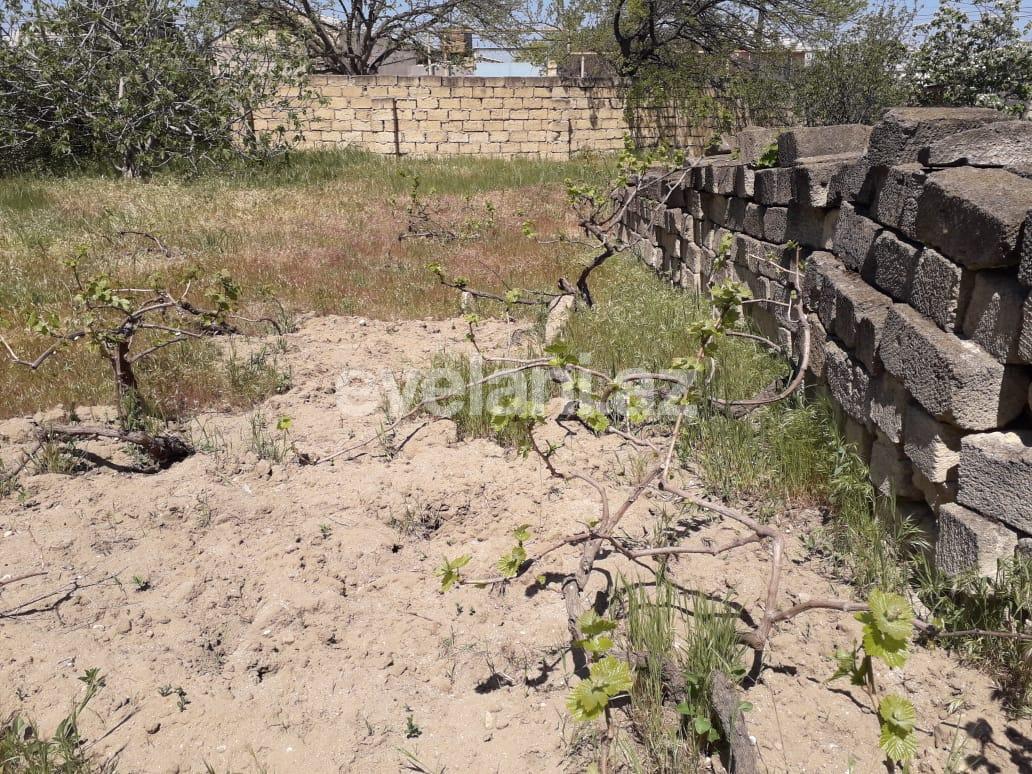 Sale, land, 6 ar, Baku, Absheron r, Goradil d.