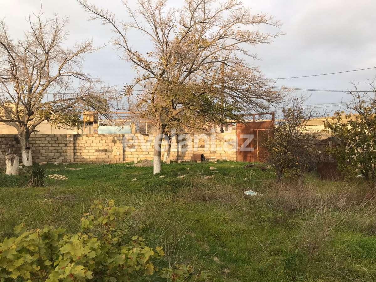 Sale, land, 6 ar, Baku, Absheron r, Goradil d.