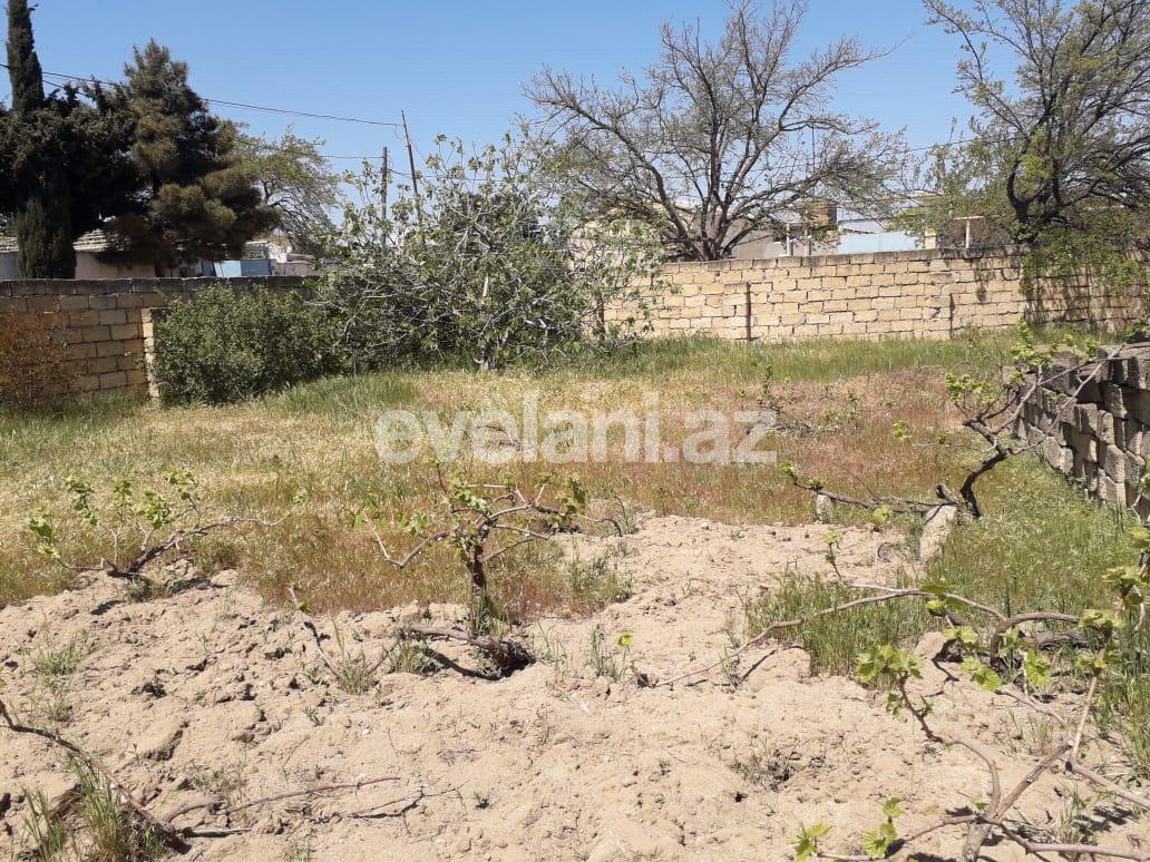 Sale, land, 6 ar, Baku, Absheron r, Goradil d.