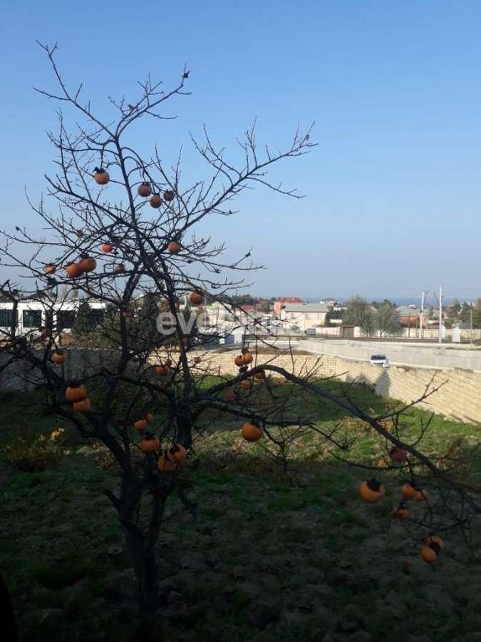 Satılır, torpaq, 13 sot, Bakı, Abşeron r, Görədil q.