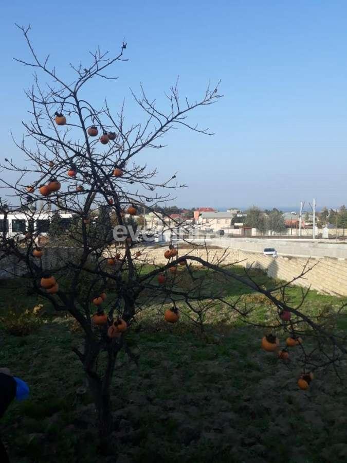 Satılır, torpaq, 13 sot, Bakı, Abşeron r, Görədil q.