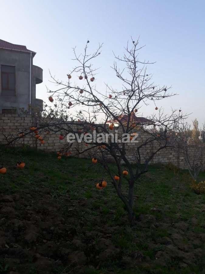 Satılır, torpaq, 13 sot, Bakı, Abşeron r, Görədil q.