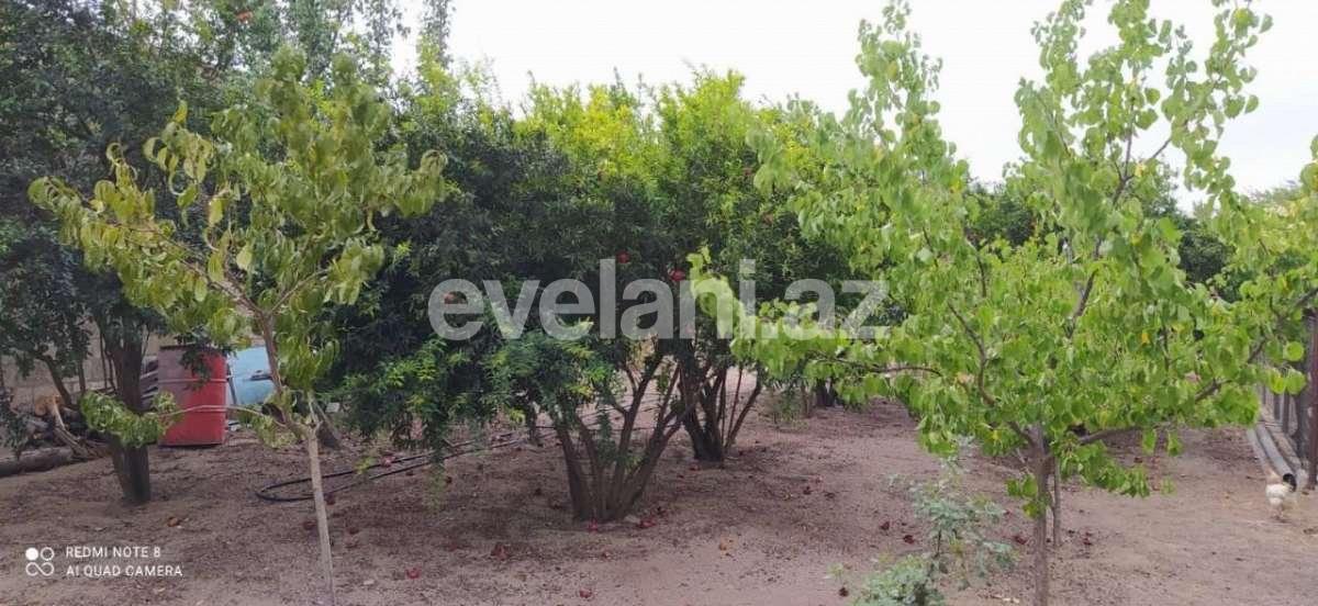 Satılır, həyət evi / bağ, 4 otaqlı, 120 m², Bakı, Abşeron r, Görədil q.