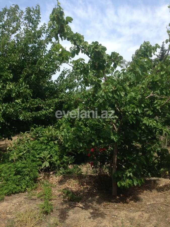 Продаётся, дом / дача, 2-комнаты, 60 m², Баку, Абшеронcкий r, Горадил p.