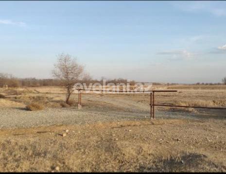 Sale, land, 850 ar, Shamkir