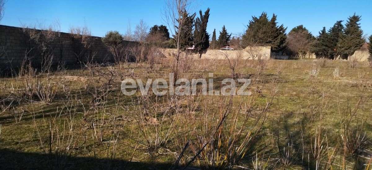 Продаётся, участок, 35 сот, Баку, Абшеронcкий r, Горадил p.