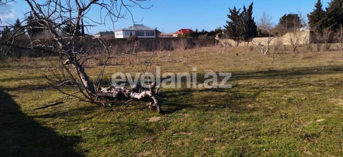 Продаётся, участок, 35 сот, Баку, Абшеронcкий r, Горадил p.