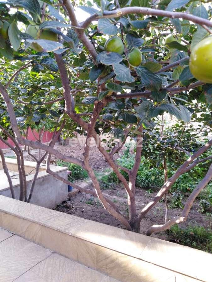 Satılır, həyət evi / bağ, 5 otaqlı, 110 m², Bakı, Binəqədi r, Sulutəpə q.