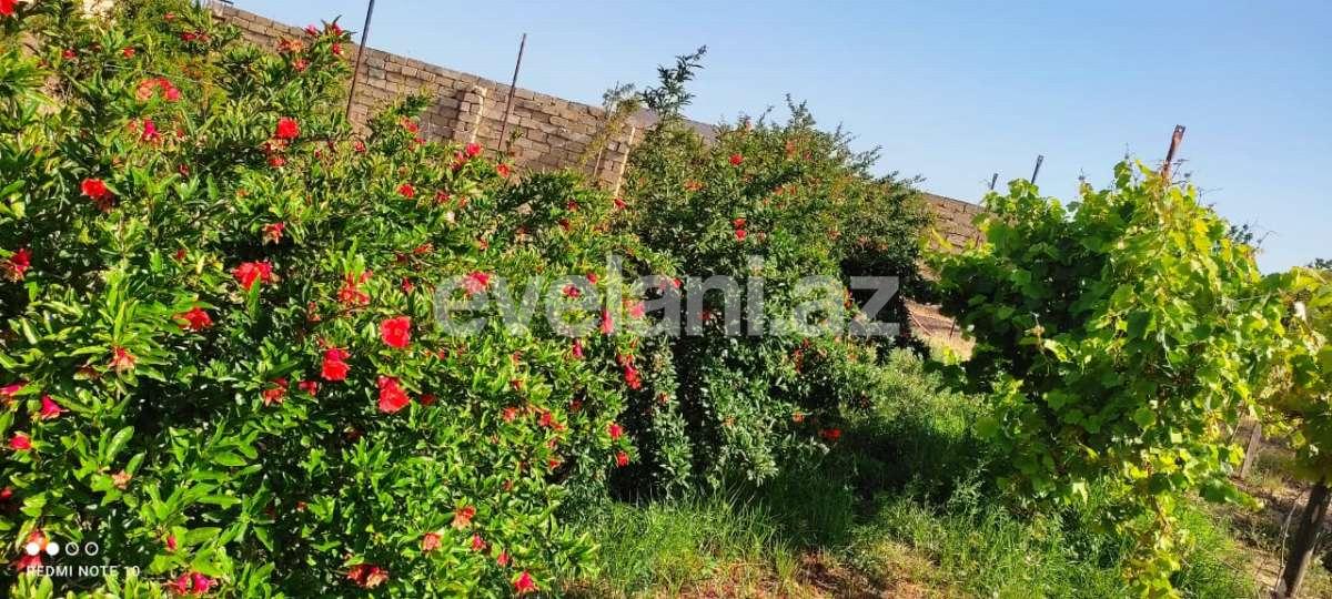Satılır, torpaq, 12 sot, Bakı, Abşeron r, Görədil q.