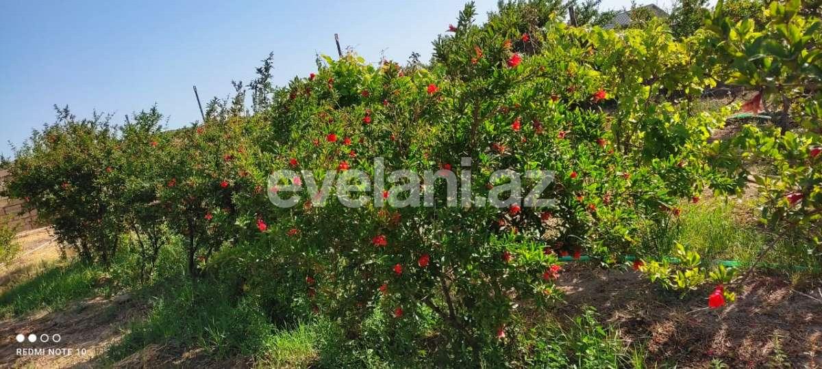 Satılır, torpaq, 12 sot, Bakı, Abşeron r, Görədil q.