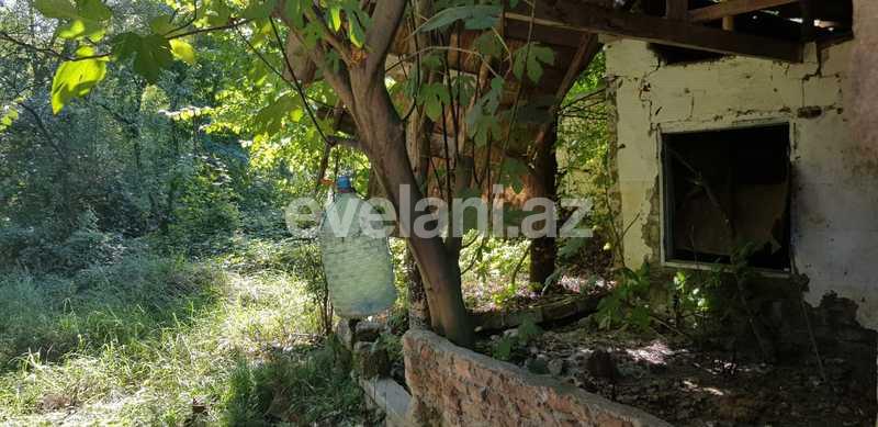 Satılır, torpaq, 24 sot, Lənkəran