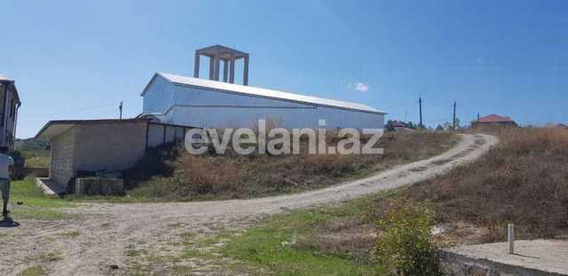 Sale, object, 350 m², Shamakhi