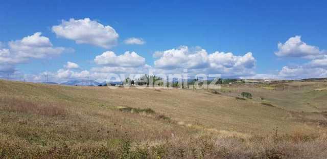 Sale, object, 350 m², Shamakhi