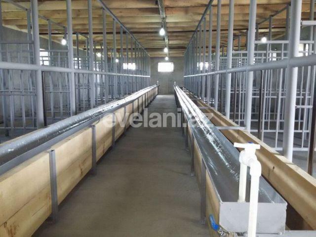 Sale, object, 350 m², Shamakhi