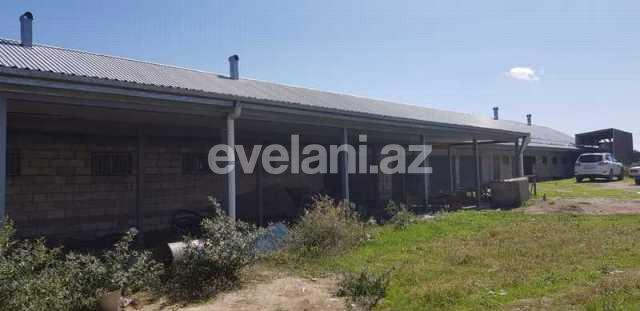 Sale, object, 350 m², Shamakhi