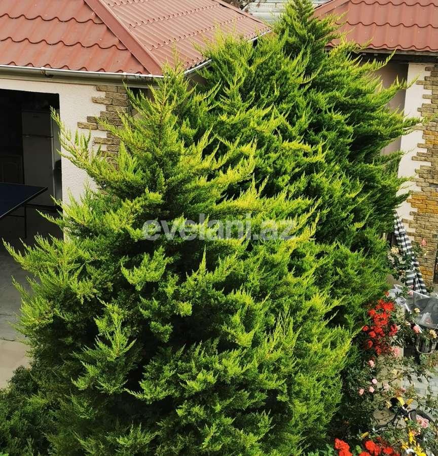 Продаётся, дом / дача, 6-комнаты, 300 m², Баку, Хазарский r, Мардакан p.