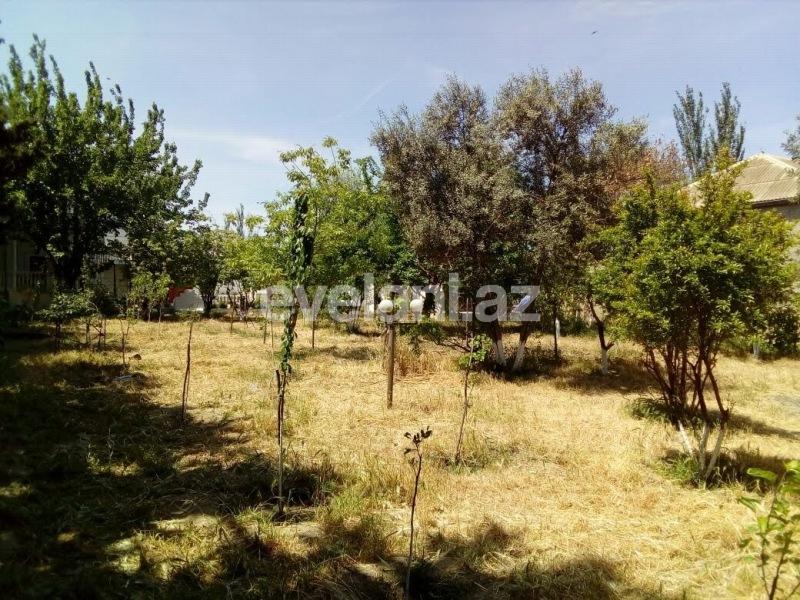 Satılır, villa, 5 otaqlı, 250 m², Bakı, Abşeron r.