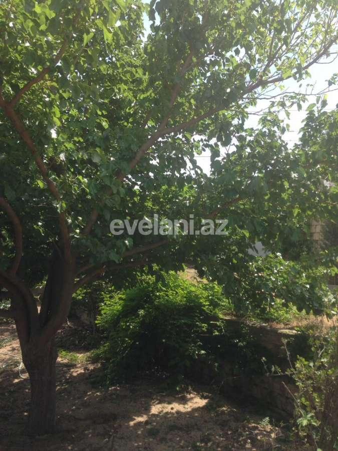 Satılır, həyət evi / bağ, 2 otaqlı, 60 m², Bakı, Abşeron r, Görədil q.