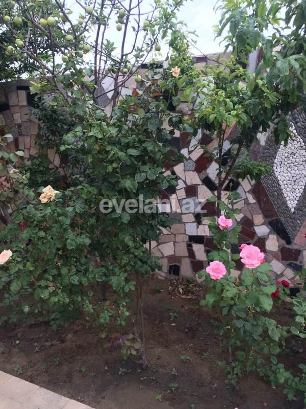 Sale, garden / house, 6 room, 307 m², Baku, Absheron r.