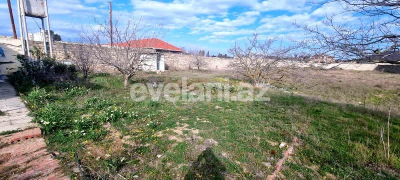 Satılır, torpaq, 32 sot, Bakı, Xəzər r, Buzovna q.