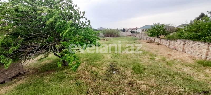 Sale, land, 25 ar, Baku, Sabunchu r.