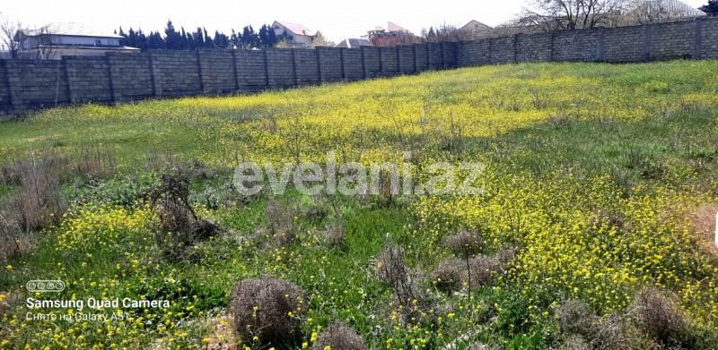 Sale, land, 80 ar, Baku, Absheron r, Novkhani d.