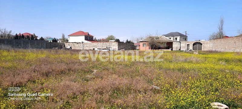 Sale, land, 80 ar, Baku, Absheron r, Novkhani d.
