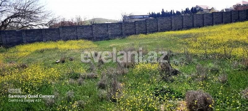 Sale, land, 80 ar, Baku, Absheron r, Novkhani d.