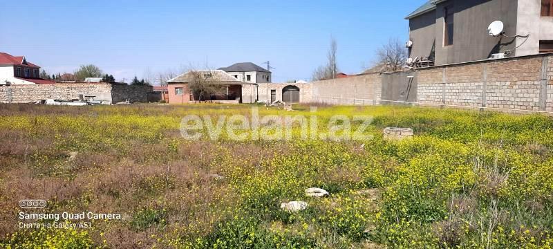 Sale, land, 80 ar, Baku, Absheron r, Novkhani d.