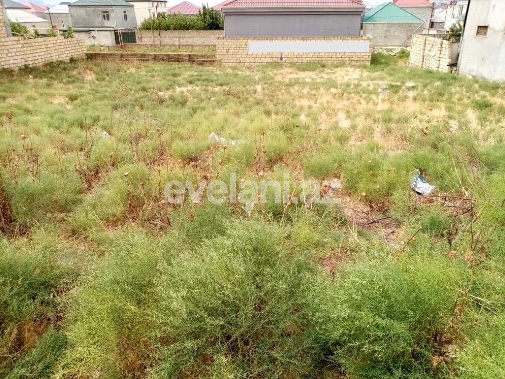 Sale, land, 8 ar, Baku, Absheron r.