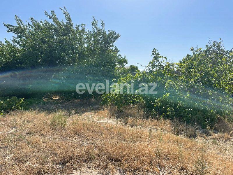 Sale, land, 16 ar, Baku, Absheron r.