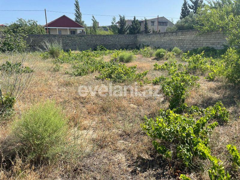 Sale, land, 16 ar, Baku, Absheron r.