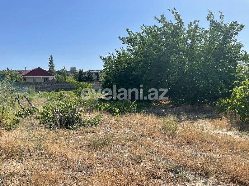 Sale, land, 16 ar, Baku, Absheron r.