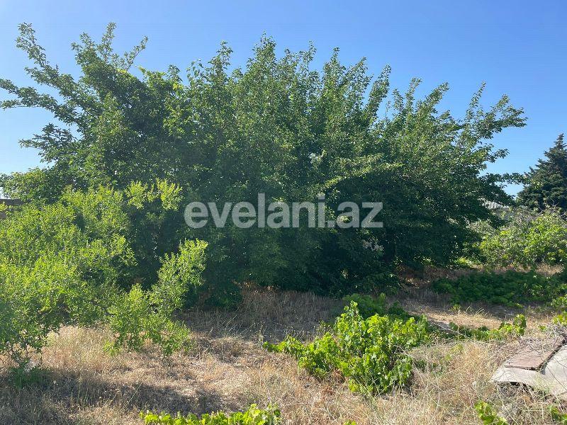 Sale, land, 16 ar, Baku, Absheron r.