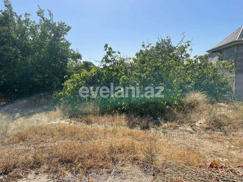 Sale, land, 16 ar, Baku, Absheron r.