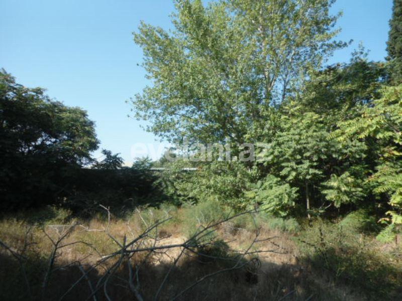 Satılır, torpaq, 12 sot, Bakı, Səbail r.