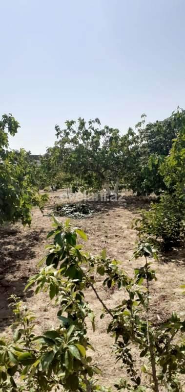 Satılır, torpaq, 25 sot, Bakı, Sabunçu r.