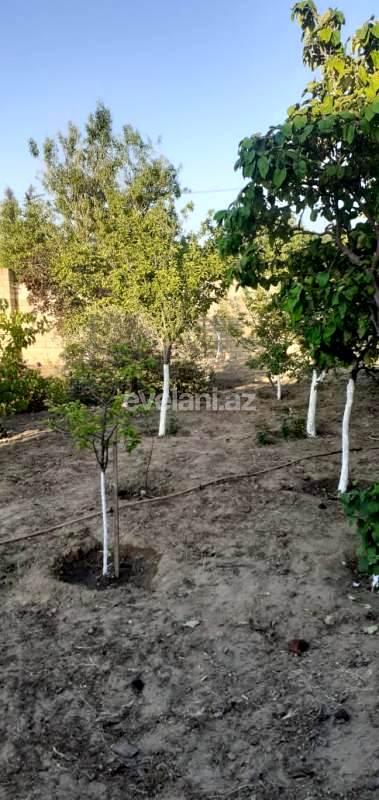 Satılır, torpaq, 25 sot, Bakı, Sabunçu r.