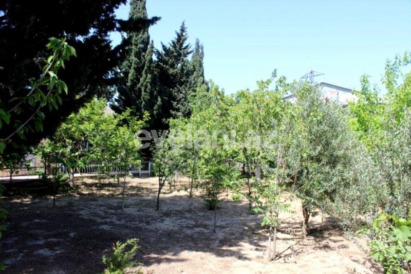 Satılır, torpaq, 25 sot, Bakı, Sabunçu r.