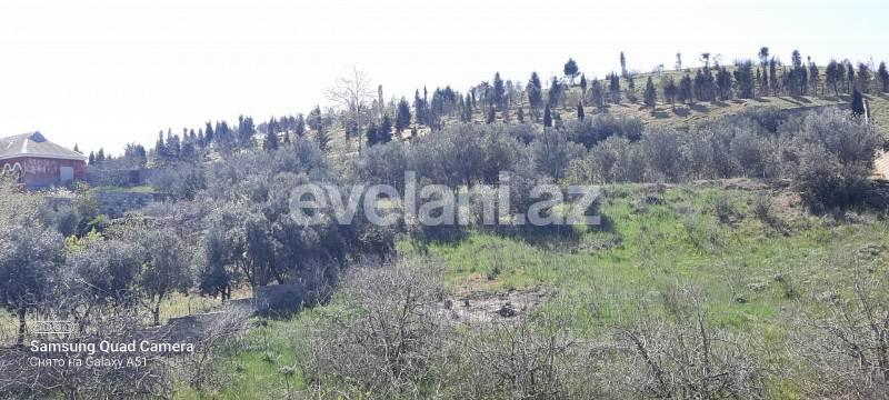 Satılır, həyət evi / bağ, 6 otaqlı, 400 m², Bakı, Abşeron r.